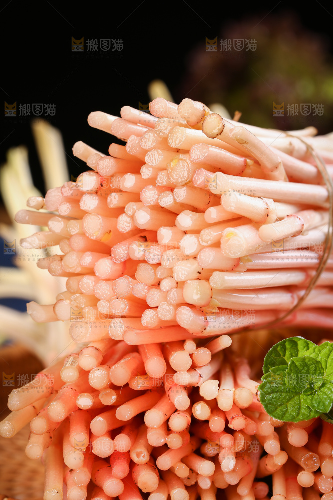 一堆鱼腥草嫩芽