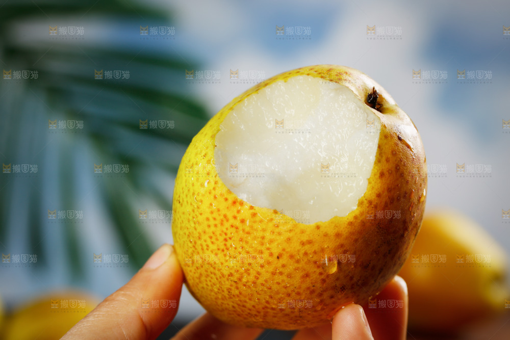 手里拿着红酥梨