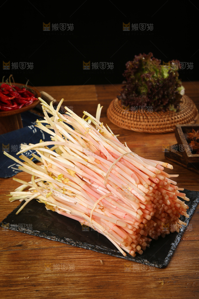 一堆鱼腥草嫩芽