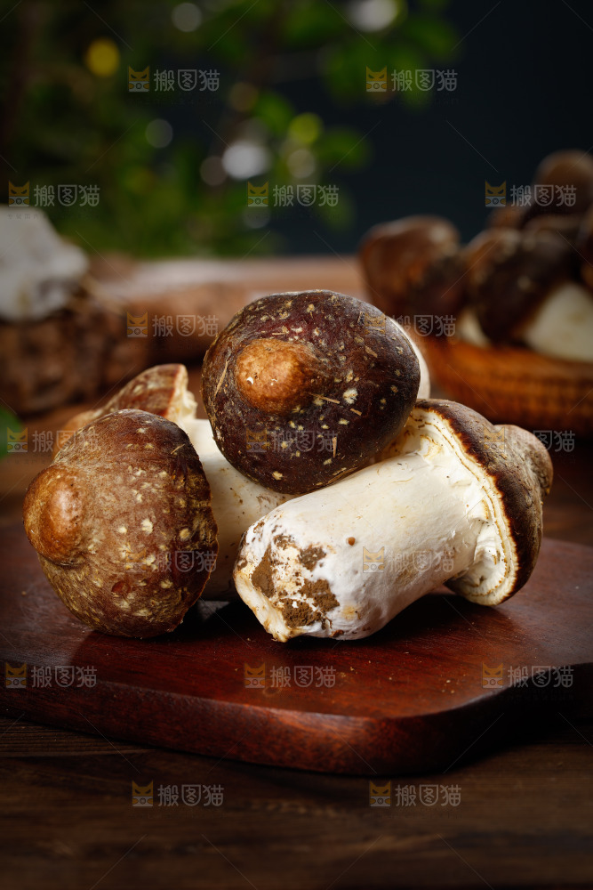 木板上放着松茸菇