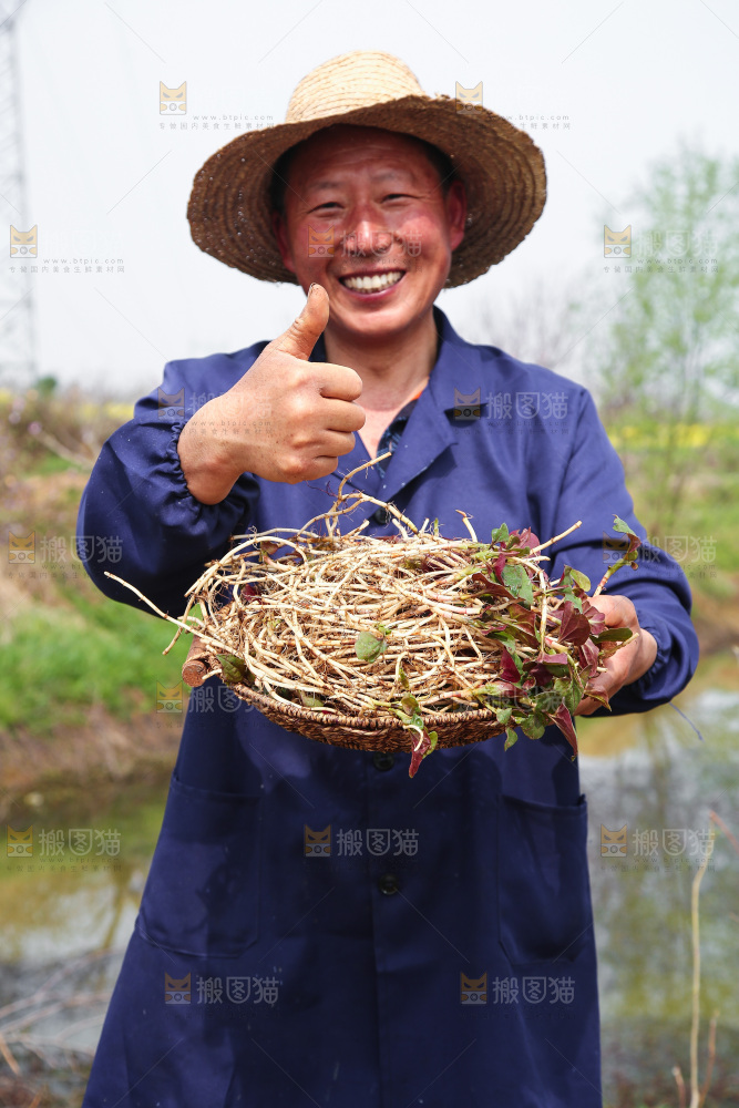 手里端着一篮鲜嫩折耳根