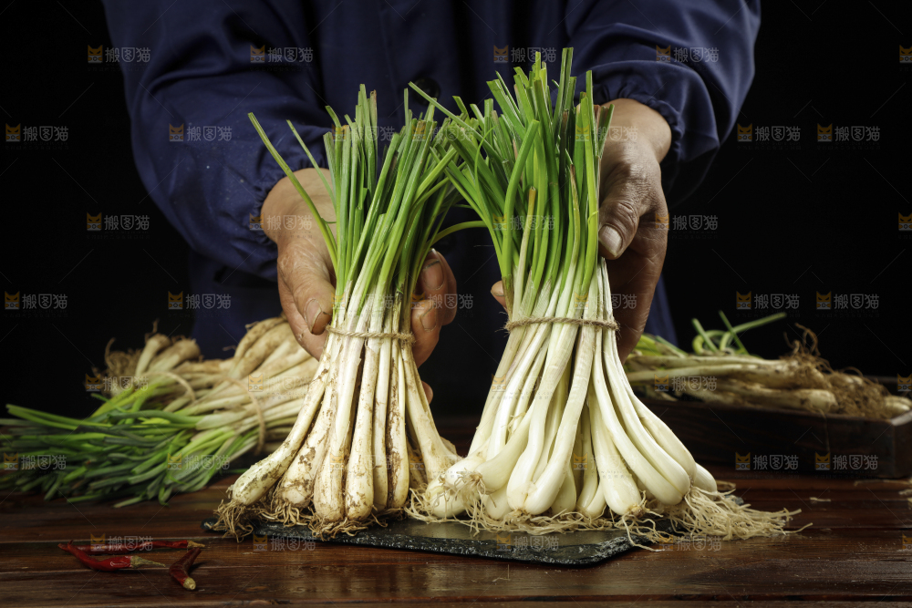 手里拿着藠头