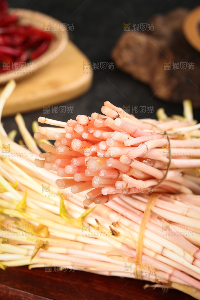 一堆折耳根嫩芽