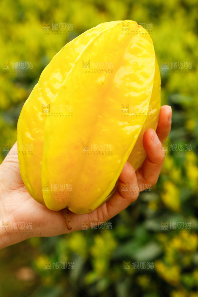 手里拿着杨桃