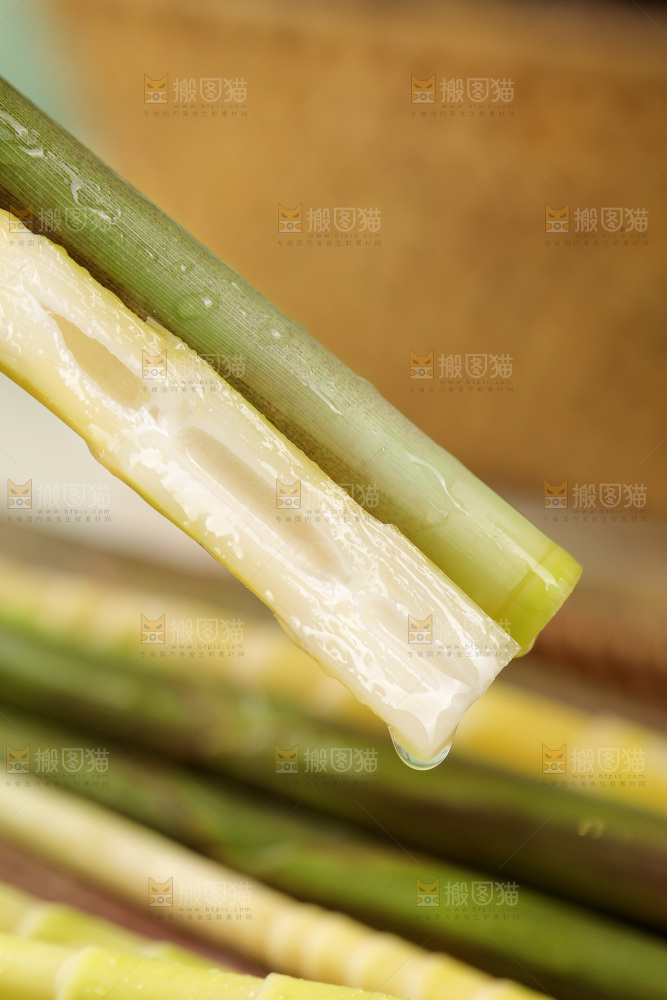 新鲜的小竹笋