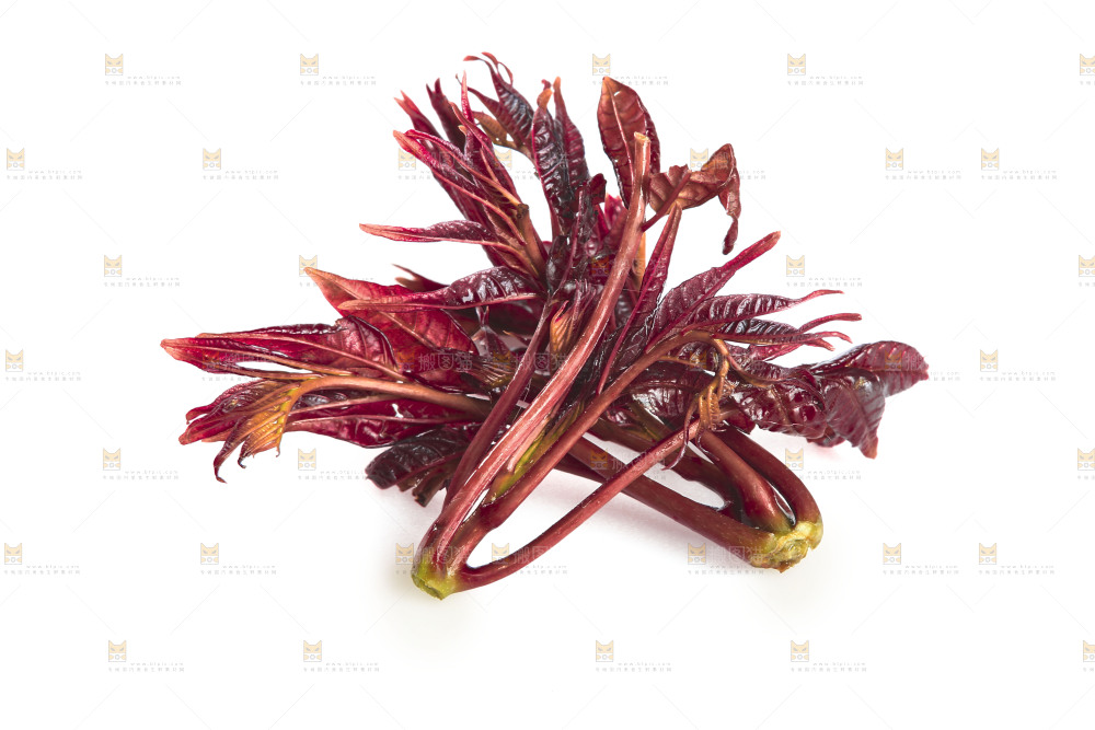 白底上放着红芽香椿