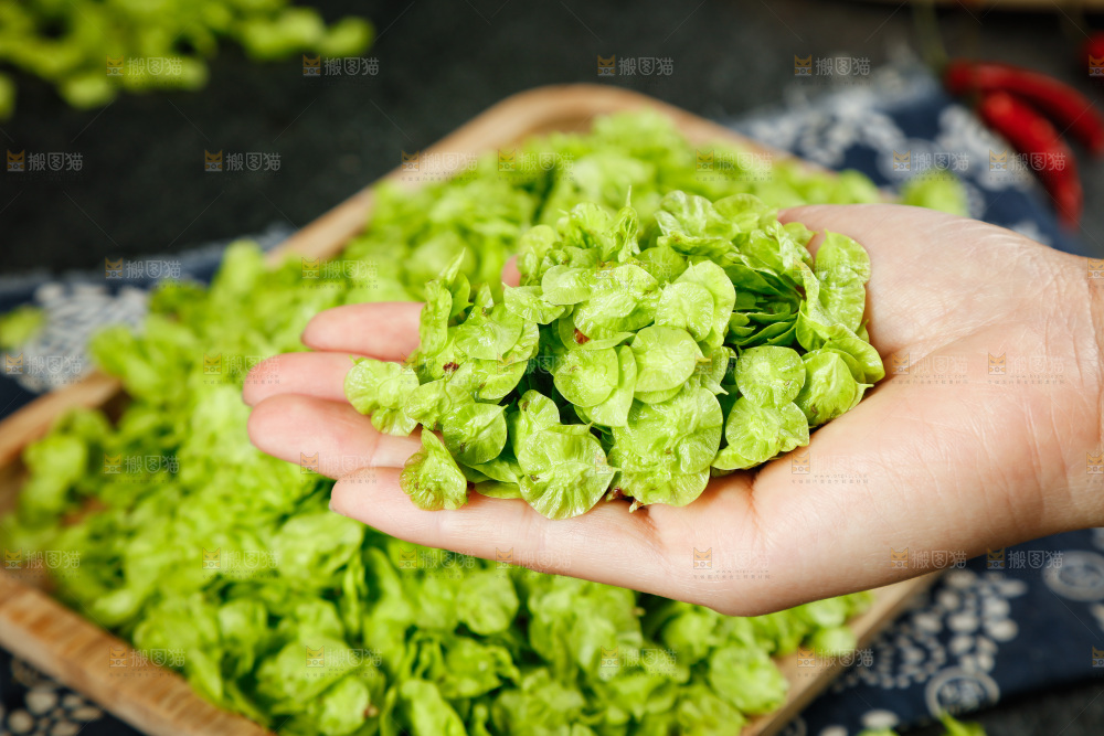 手里拿着榆钱