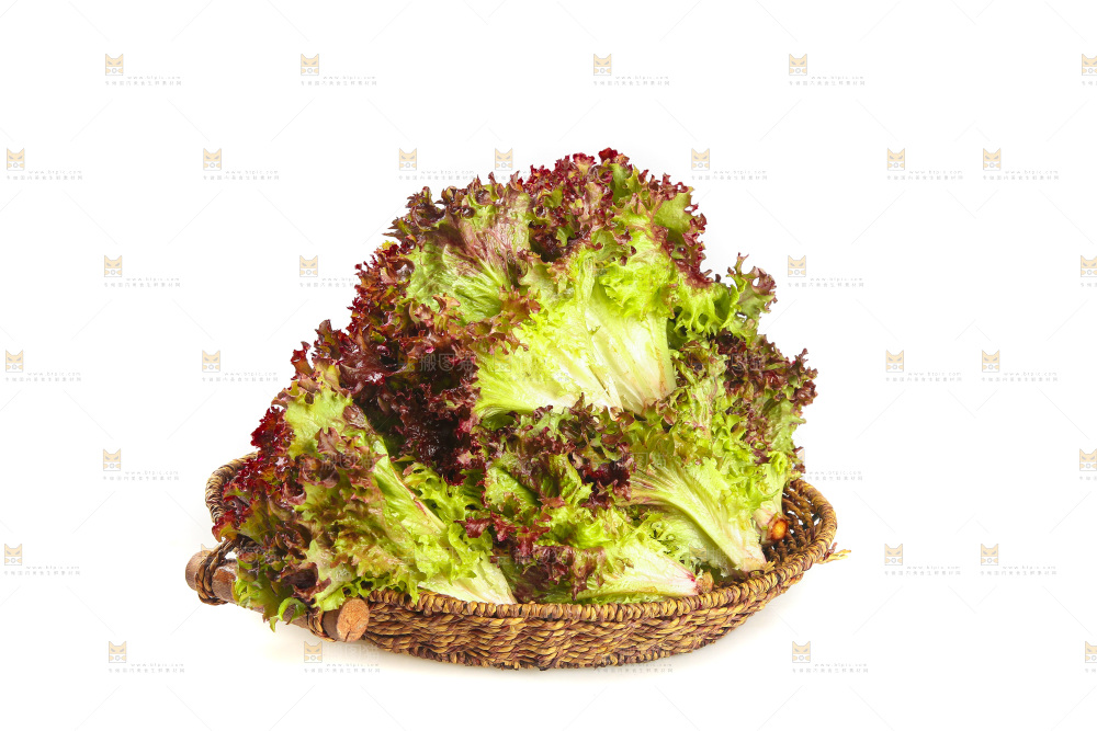 一篮紫叶生菜