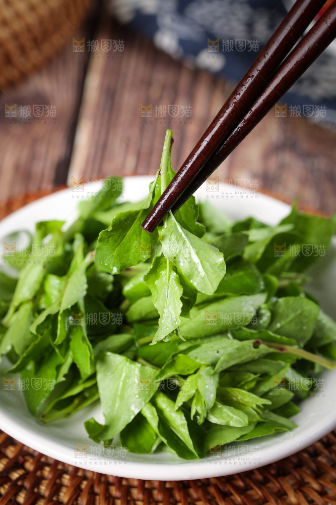 筷子上夹着枸杞菜