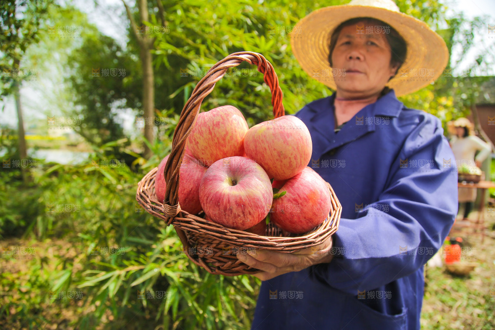手里提着一篮红富士