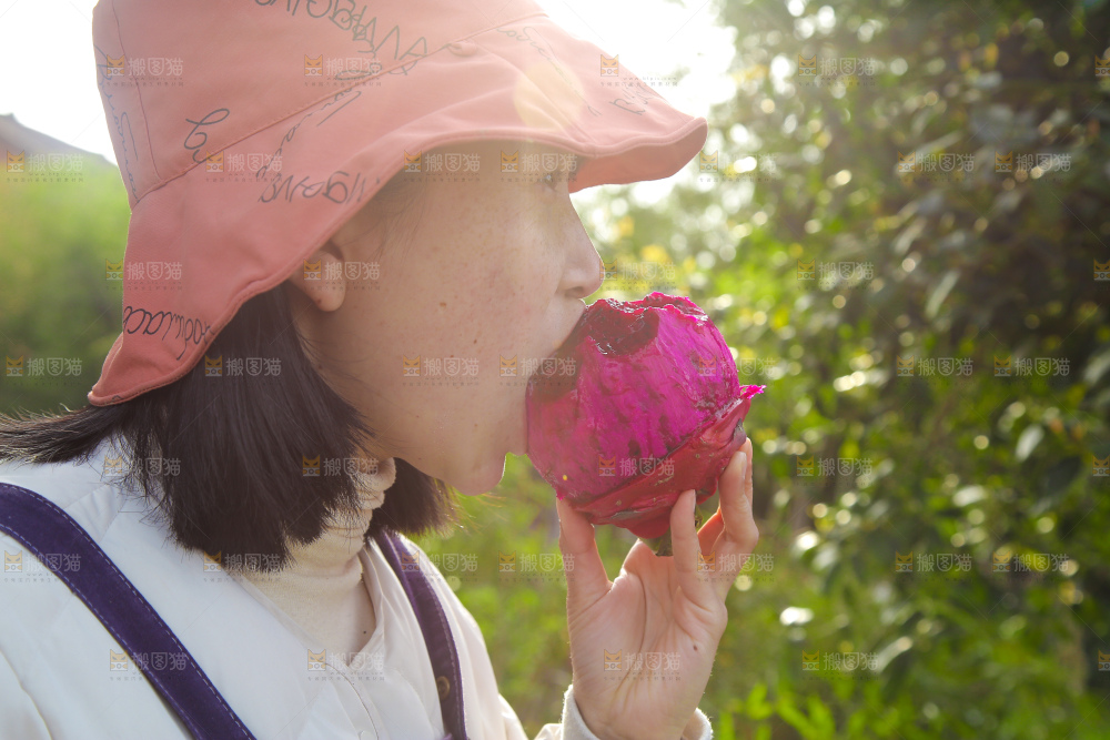 吃着红心火龙果