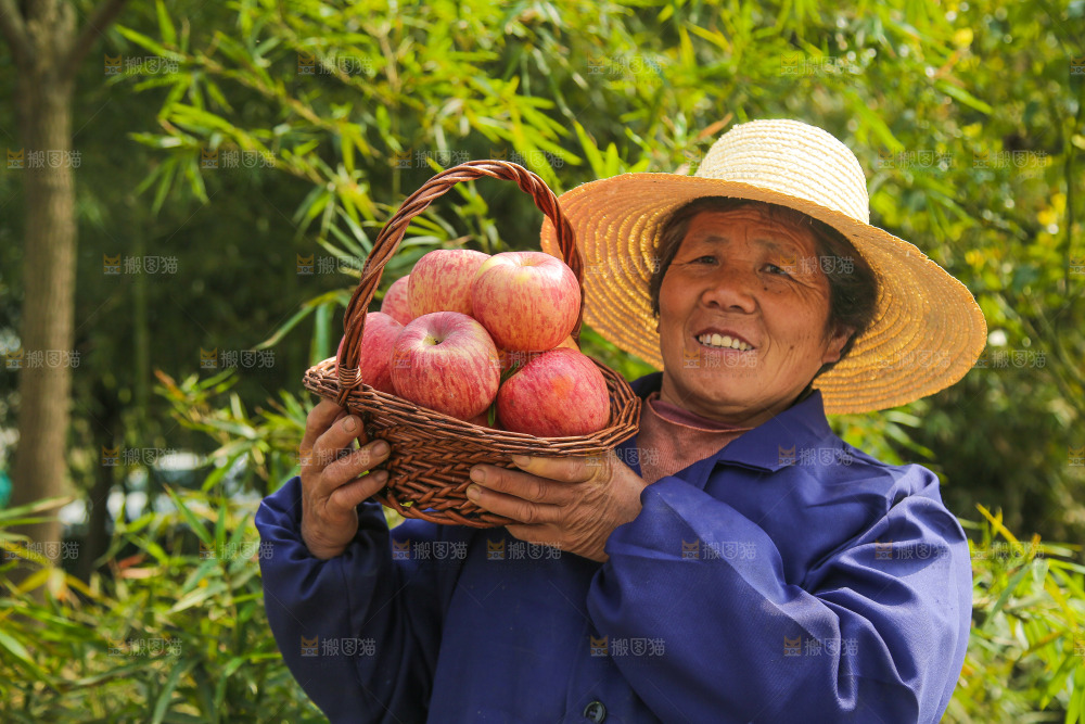 一篮条纹苹果