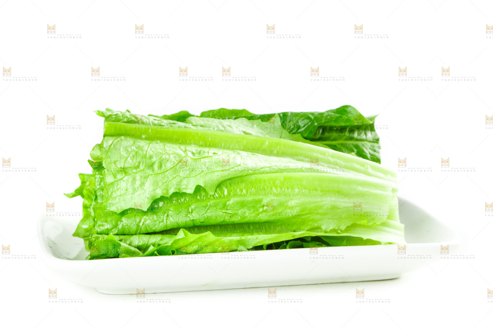 白底上放着油麦菜
