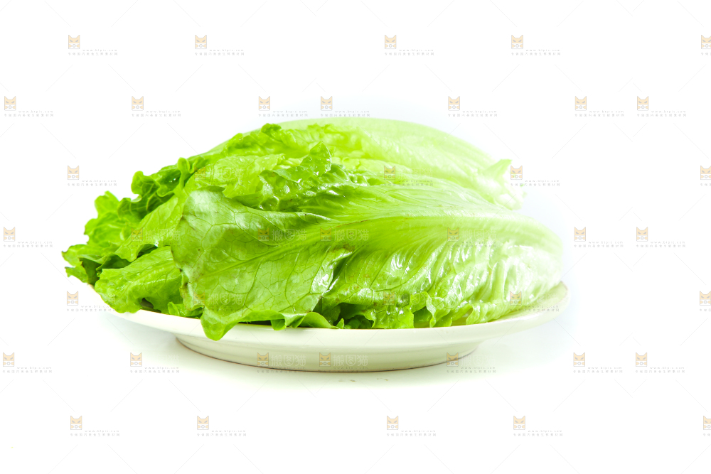 白底上的生菜
