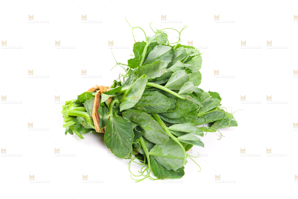 白底上摆放着新鲜豌豆苗