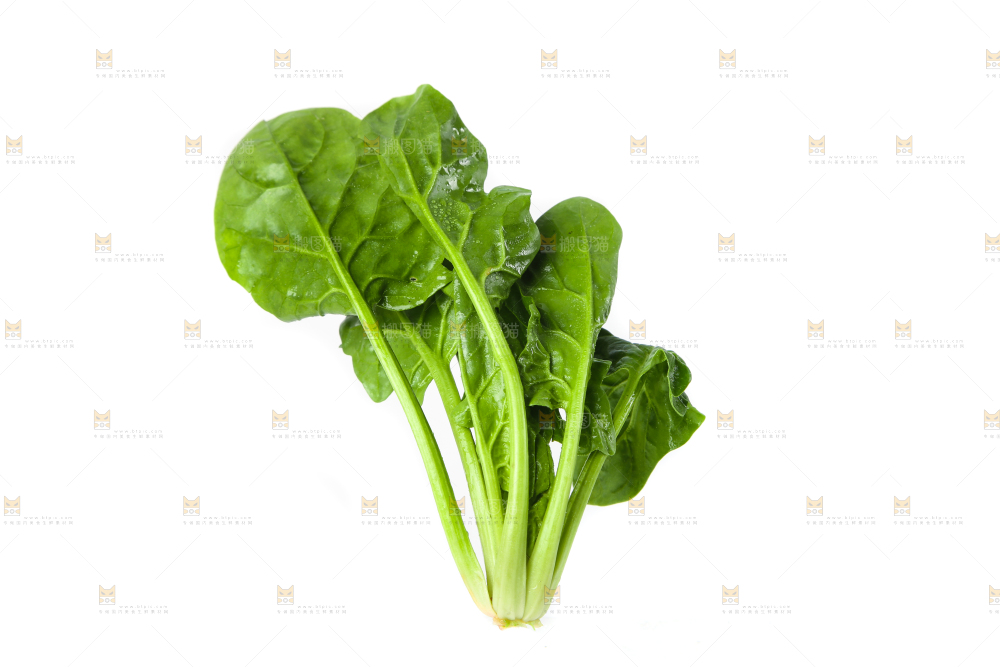 白底上放着菠菜