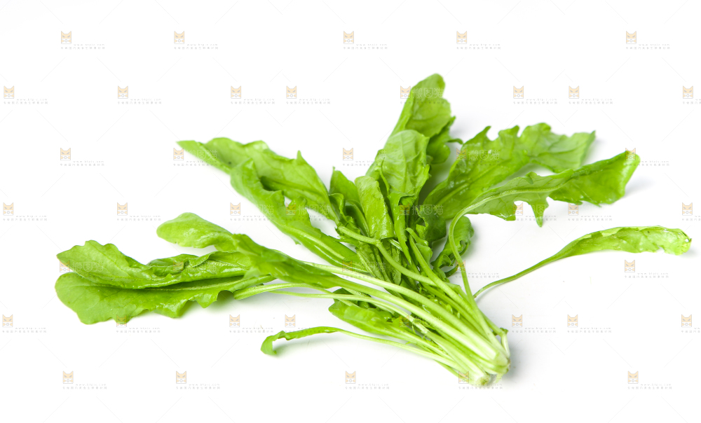 白底上的地菜