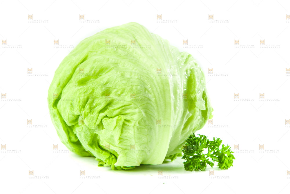白底上的新鲜生菜