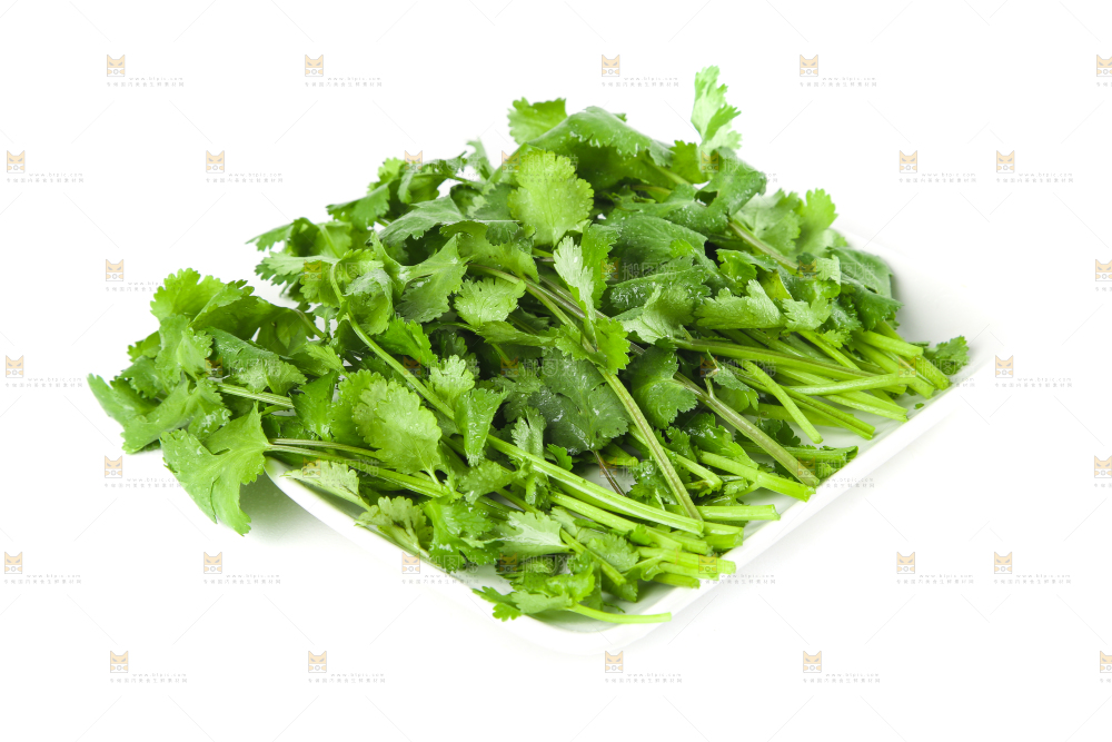 白底上放着一盘香菜