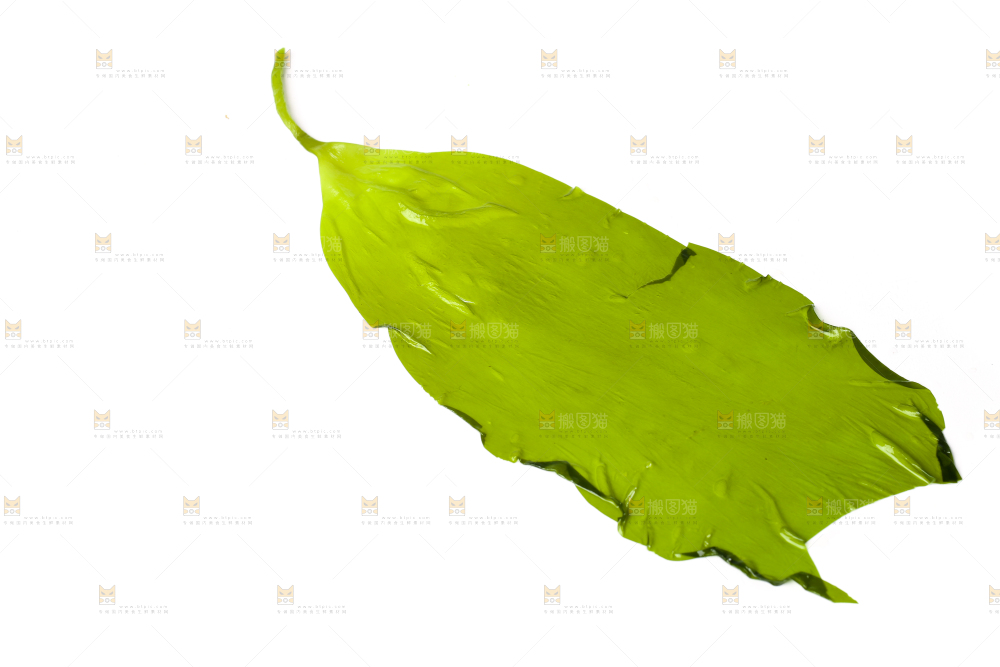 白底上放着海带苗