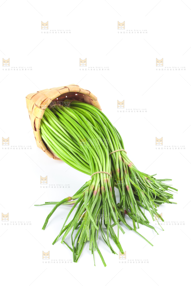 一筐蒜苔放在白底上
