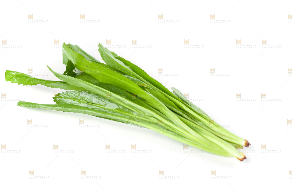 白底上的大香菜