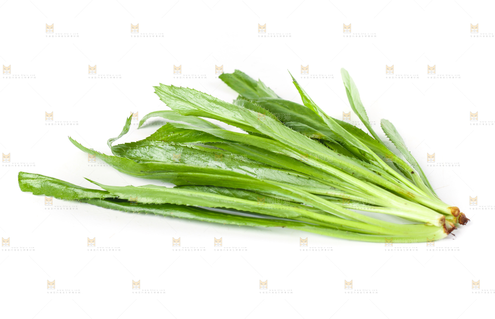 白底上的大香菜