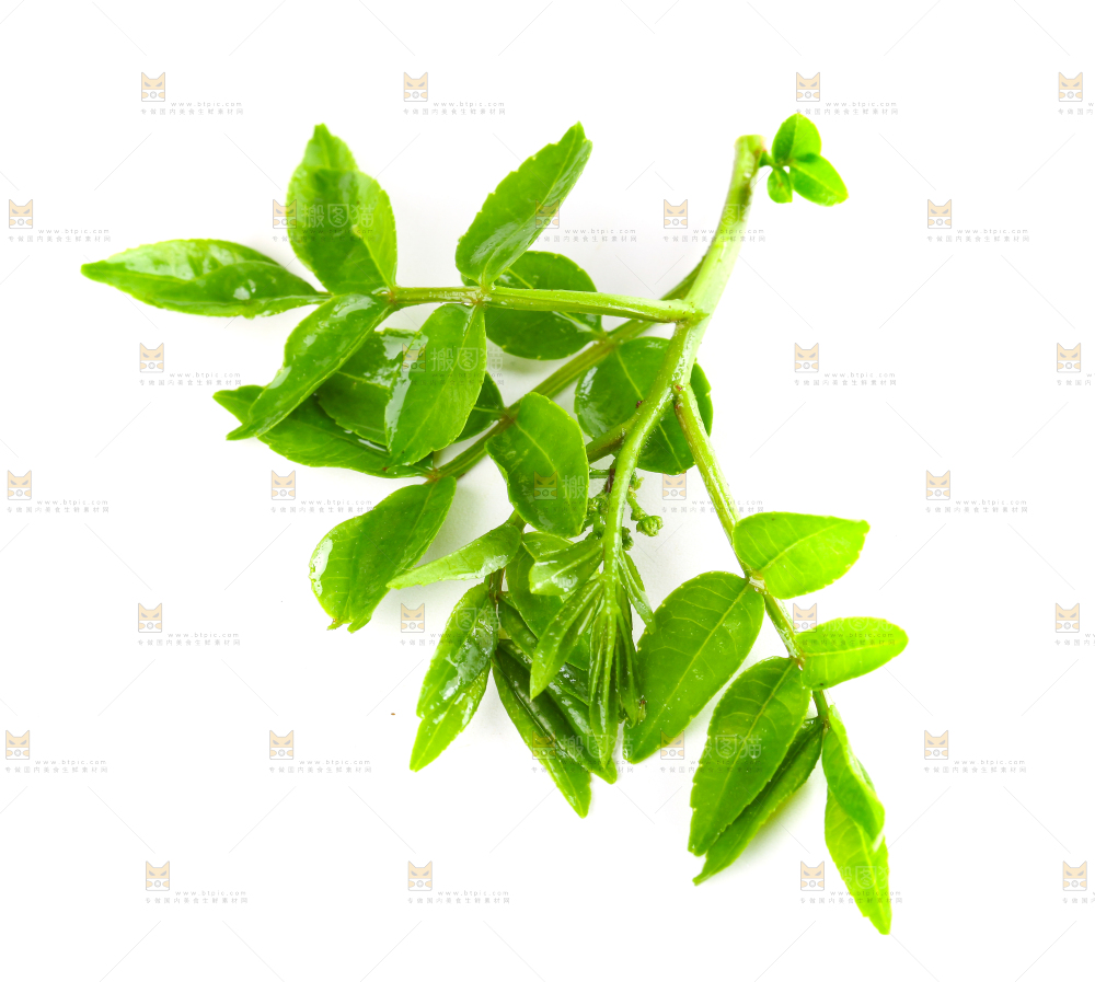 白底上放着花椒芽