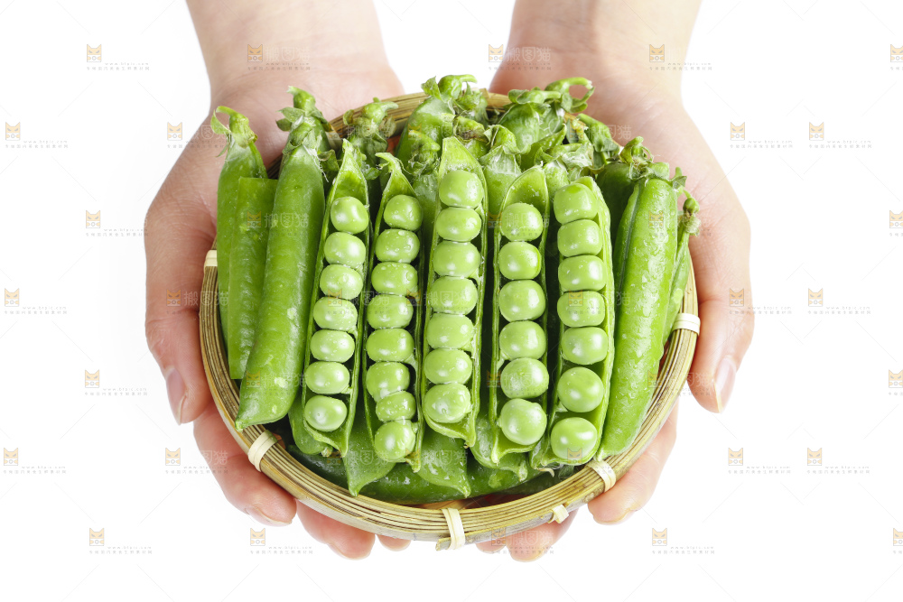 篮子里的新鲜豌豆