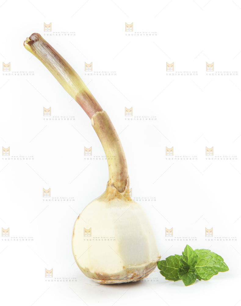 白底上放着茨菇