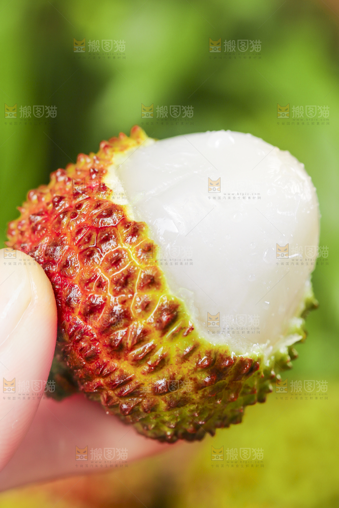 手里拿着妃子笑