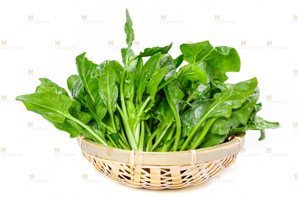 篮子里放着农家菠菜