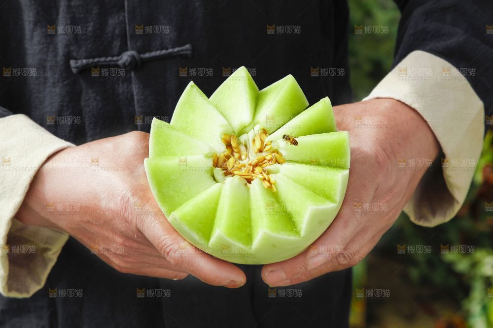 手里拿着玉菇香瓜