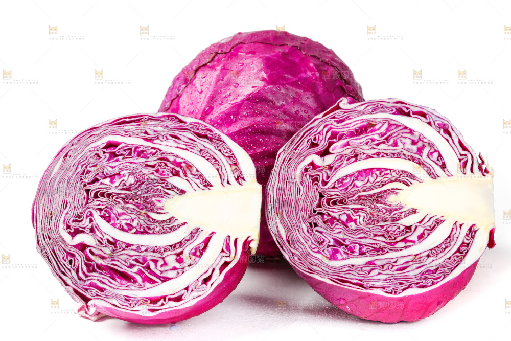 白底上的紫甘蓝