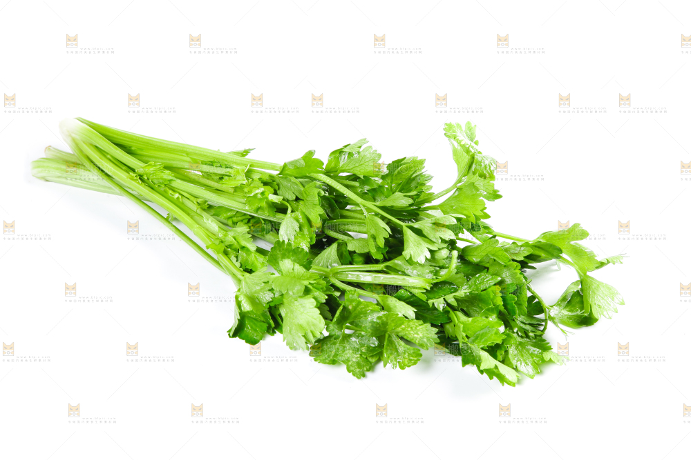白底上的芹菜