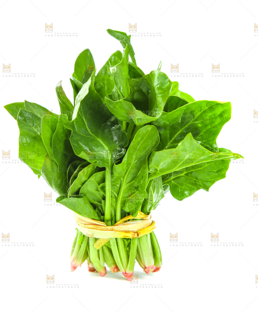 白底上放着新鲜菠菜