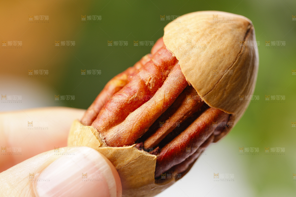 手里拿着长寿果