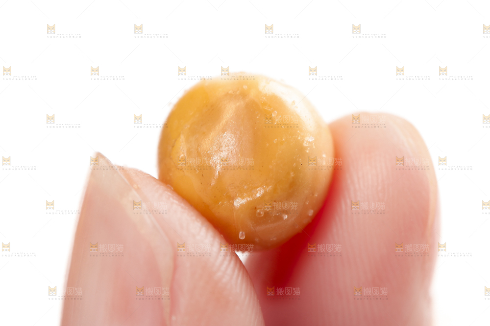 手里拿着脆黄金豆