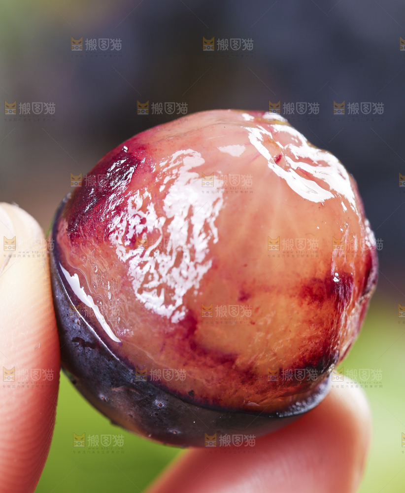 手里拿着黑提子