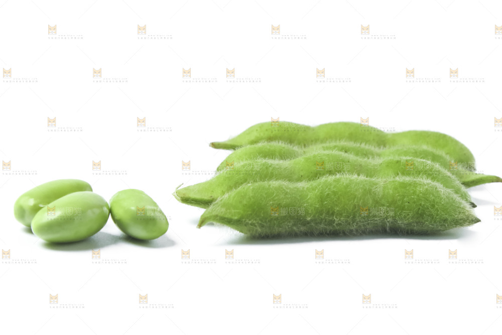 白底上的毛豆