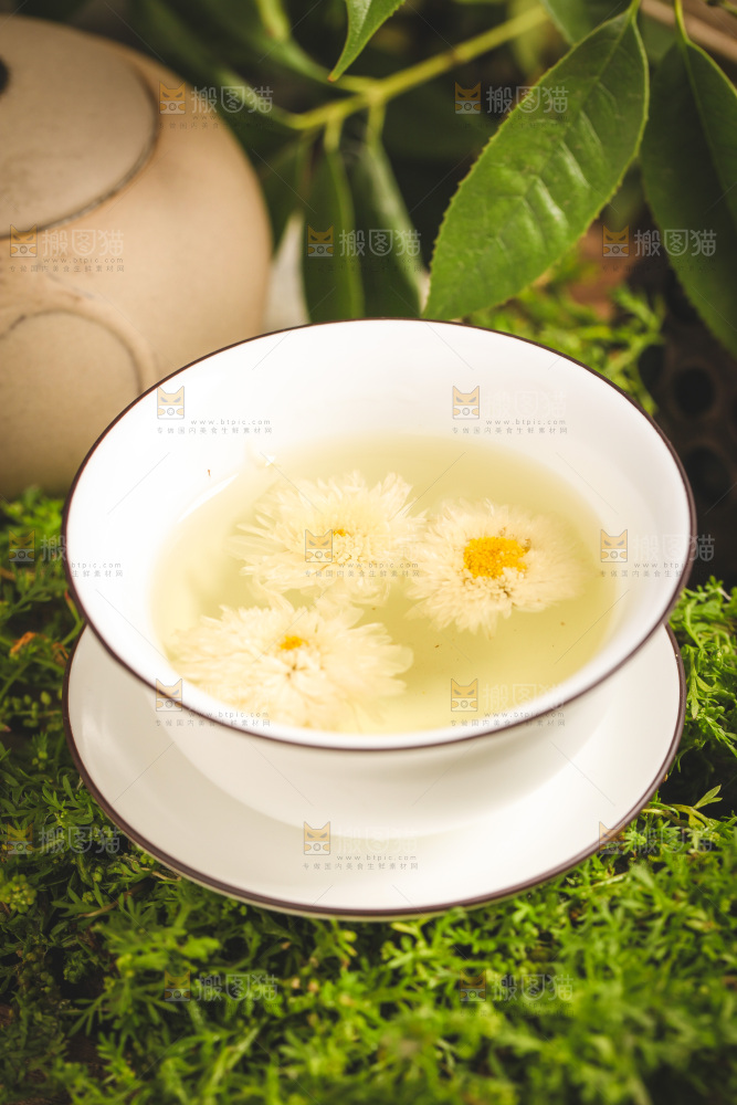 一杯杭白菊菊花茶
