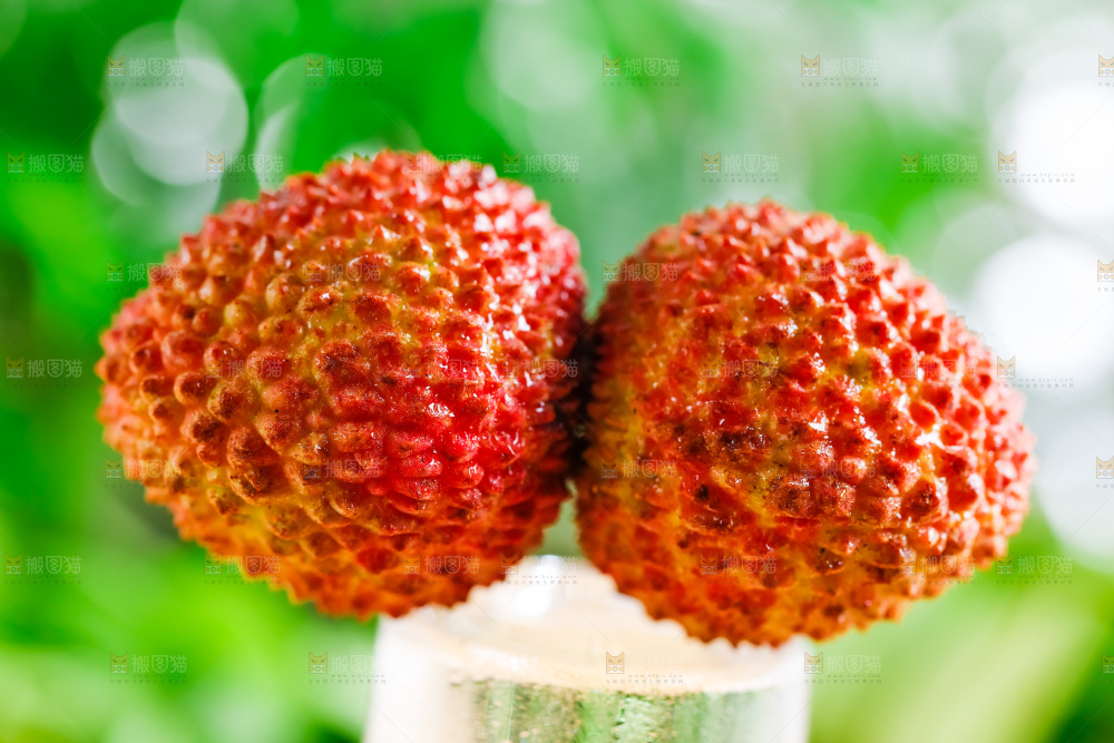 荔枝特写