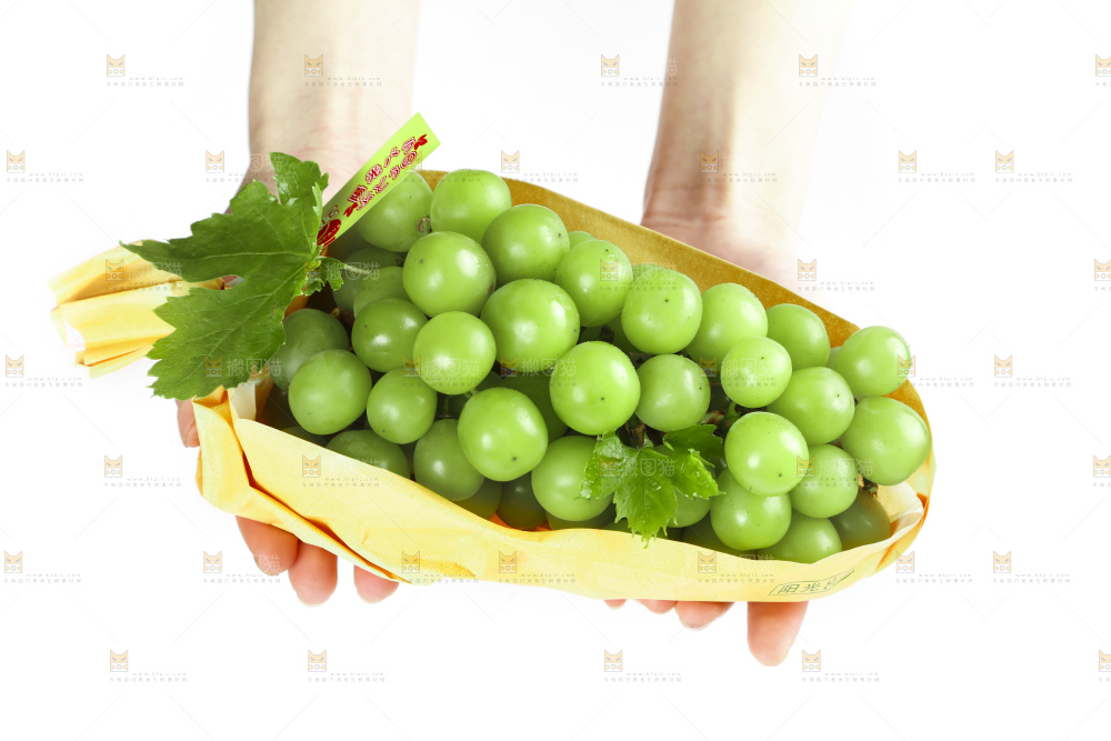 手里拿着无籽青提
