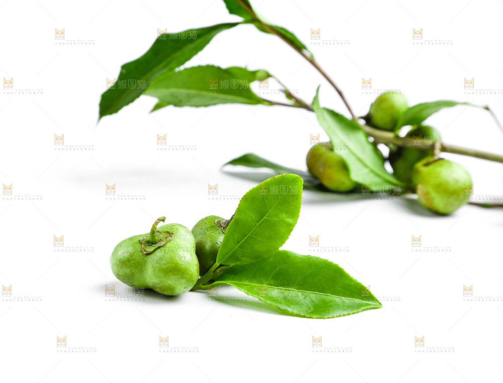 白底上摆放着茶叶子