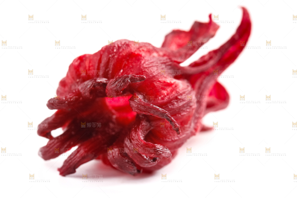 白底上放着玫瑰茄