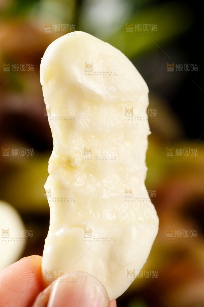 手里拿着新鲜菱角