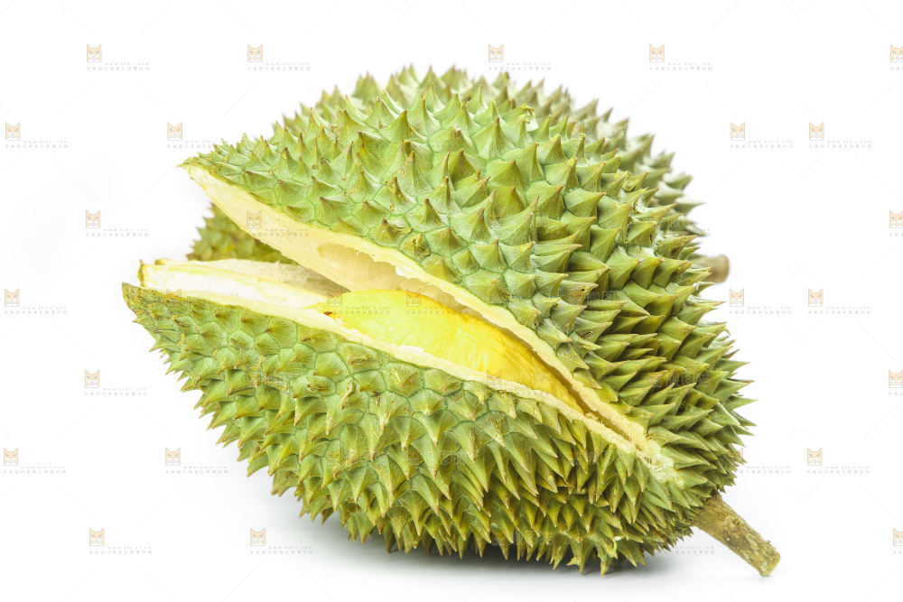 白底上放着泰国金枕榴莲