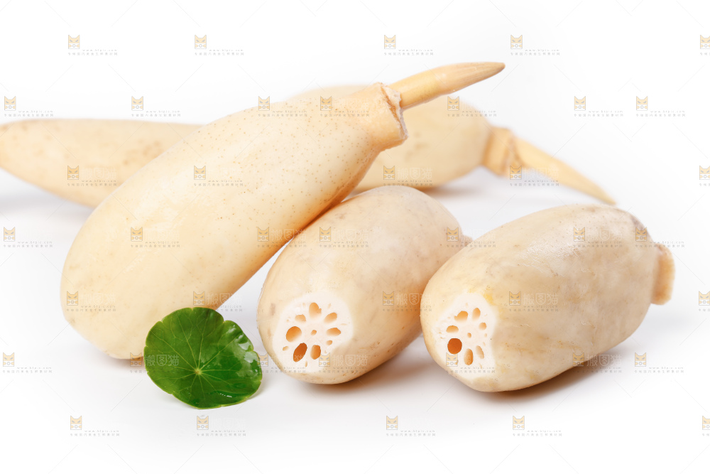 白底上的新鲜莲藕