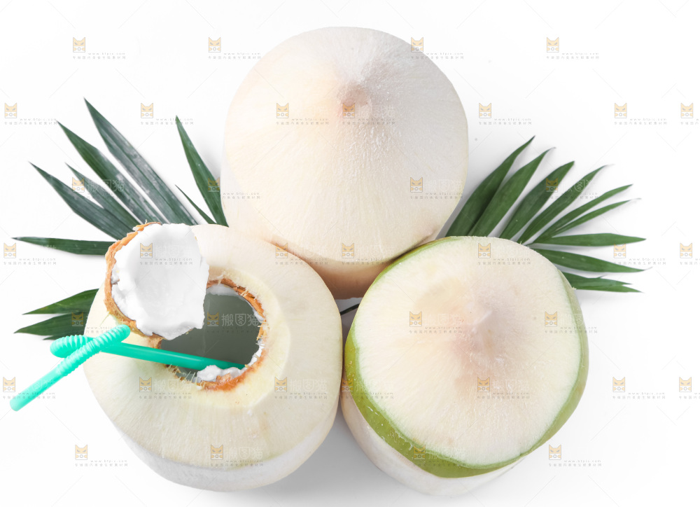 白底上青椰子
