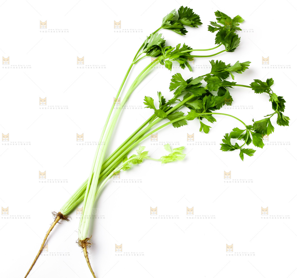白底上摆放着芹菜
